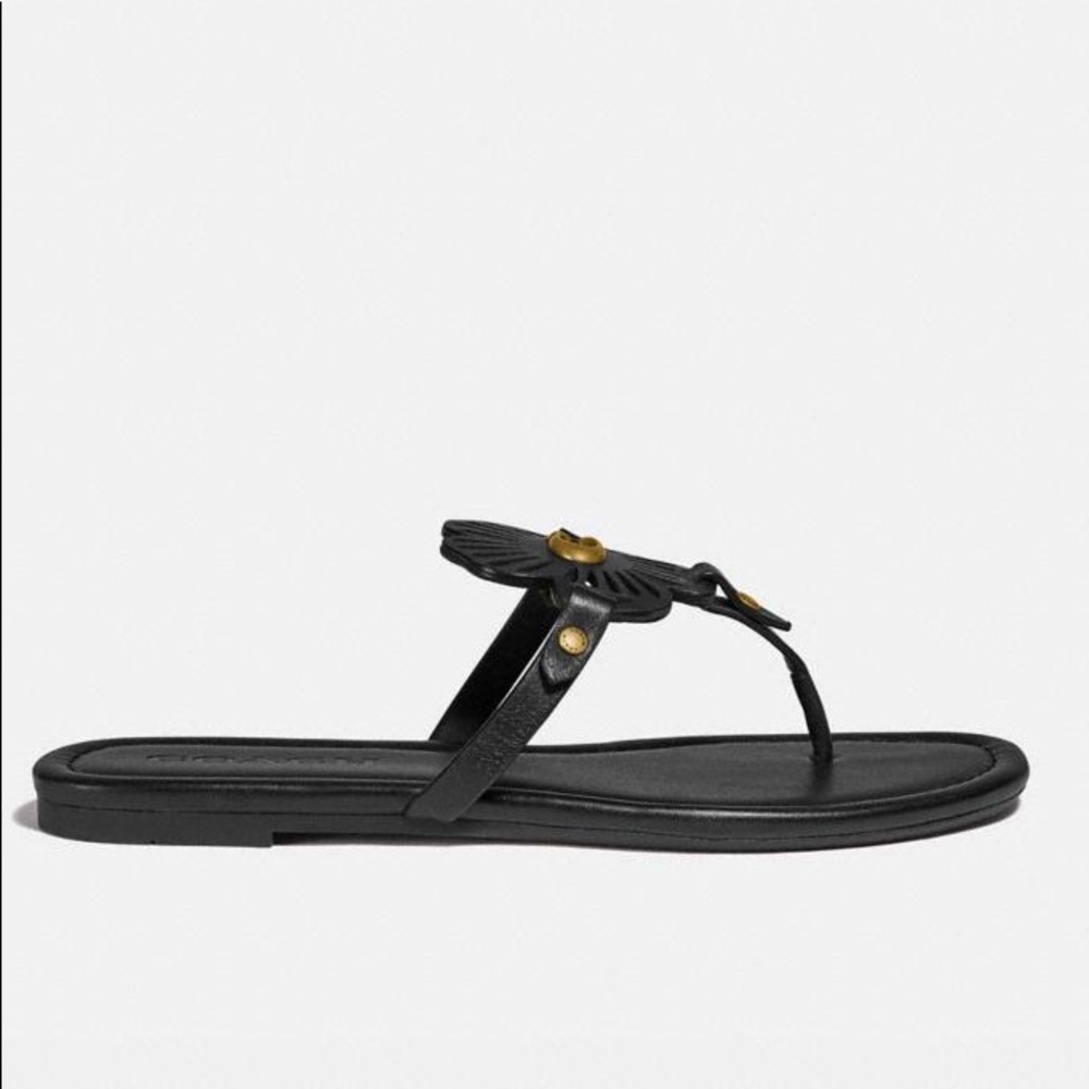COACH JULIA SANDALS in black new in box women’s 7 - Picture 4 of 10
